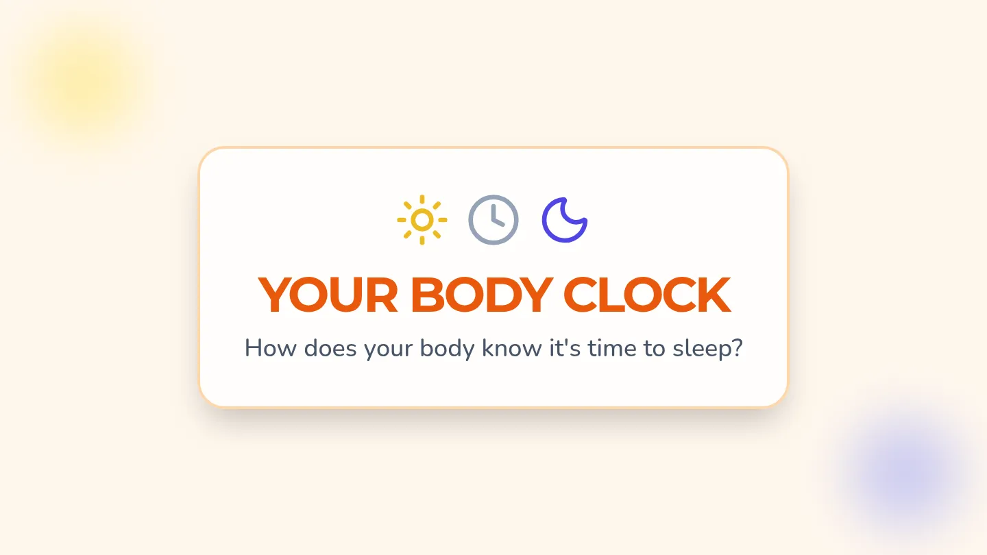 Body Clock Slides