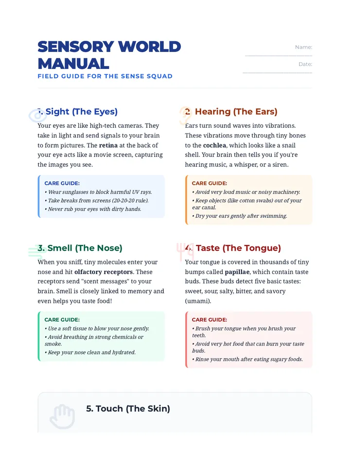 Sensory World Manual