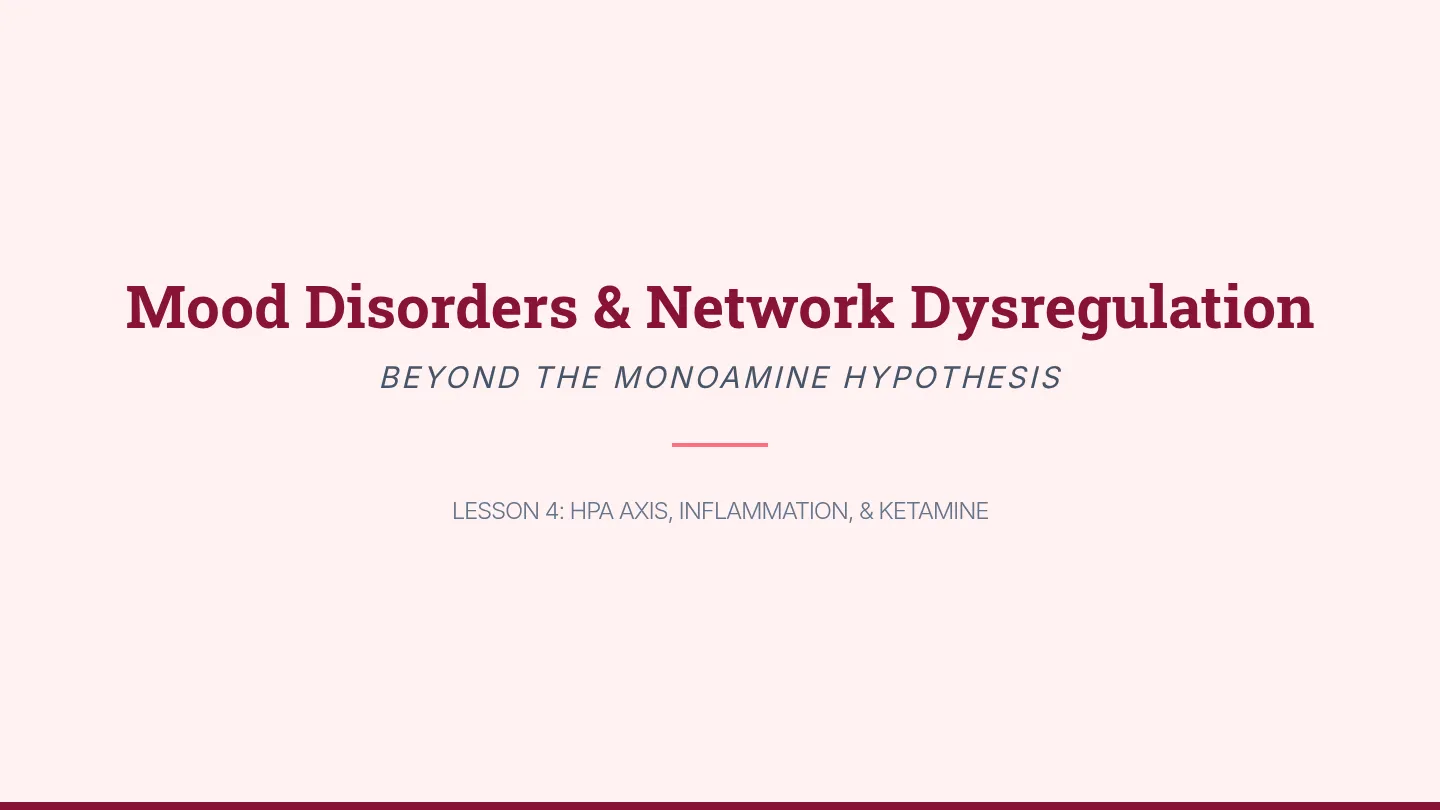 Mood Disorder Networks Slides