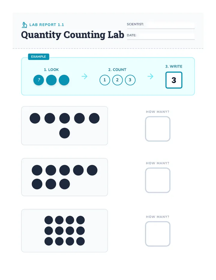 Quantity Counting Lab Worksheet