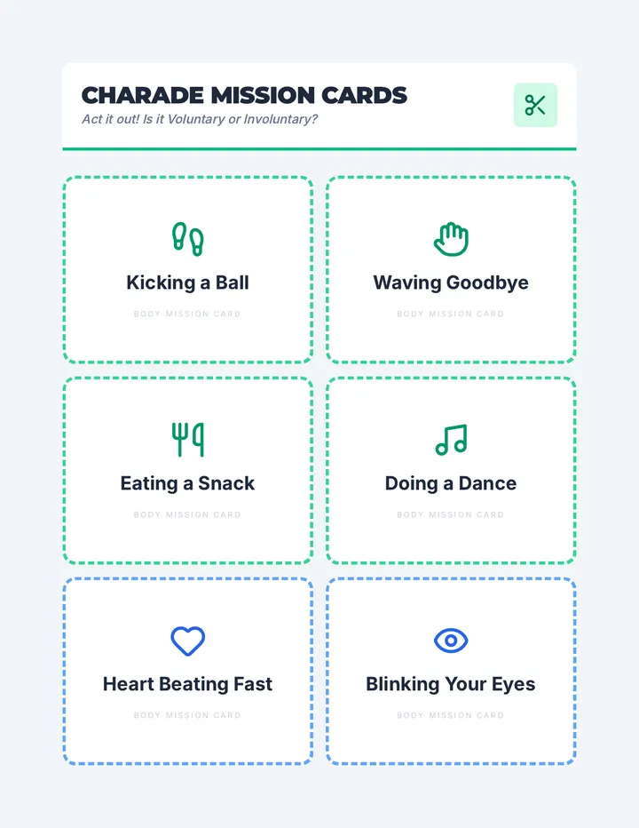 Body System Charade Cards