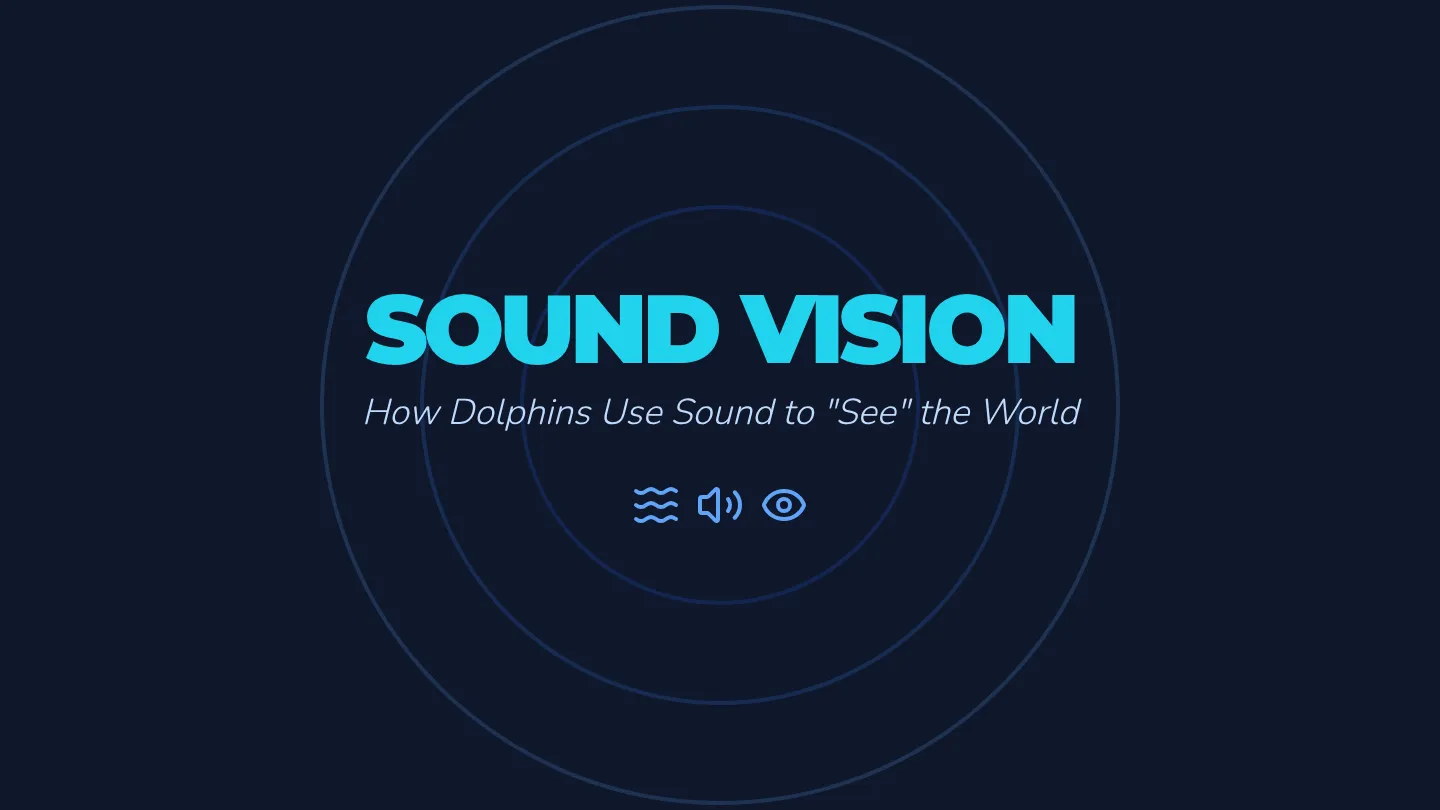 Echo Vision Slides