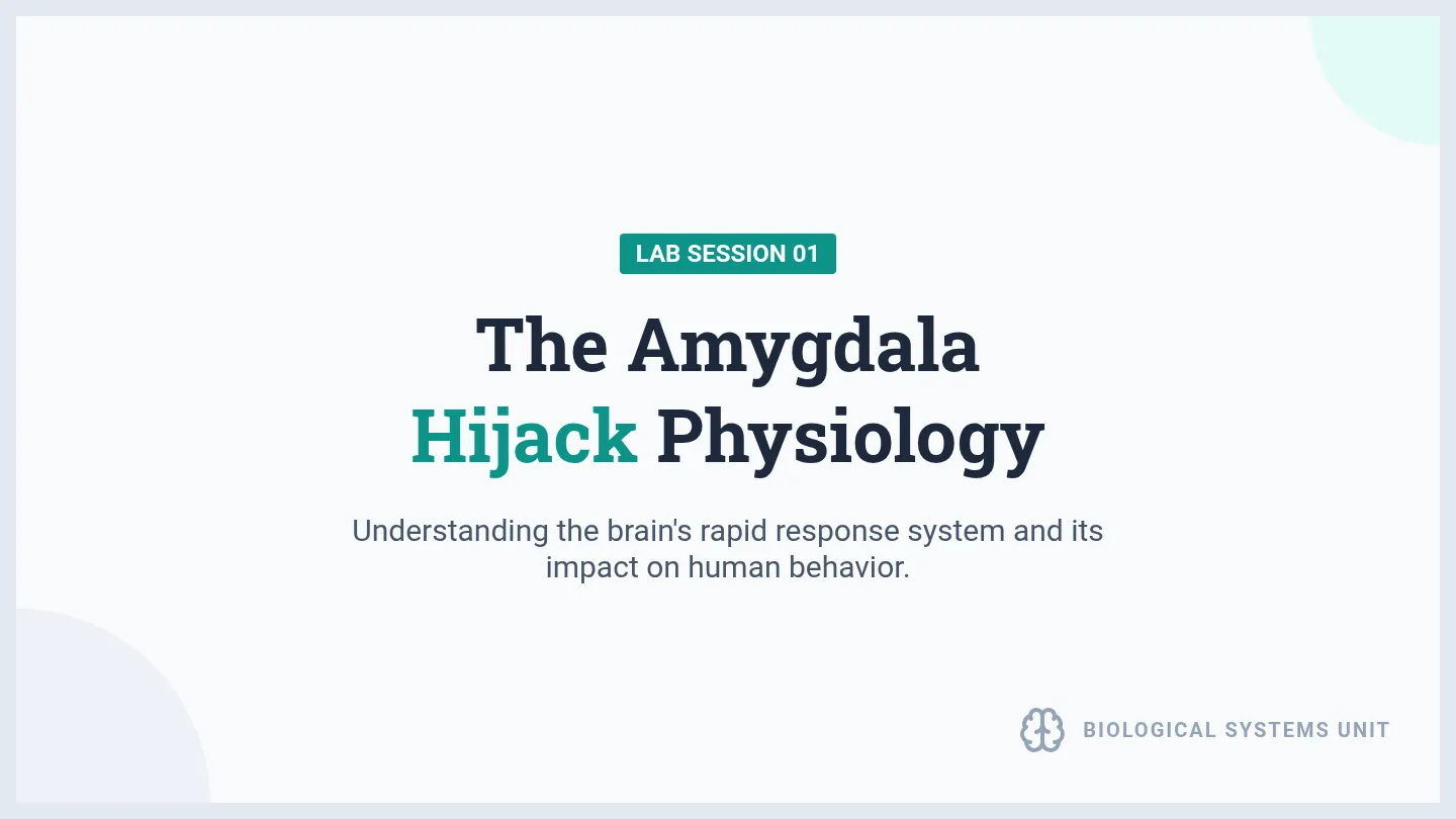 Amygdala Hijack Slides