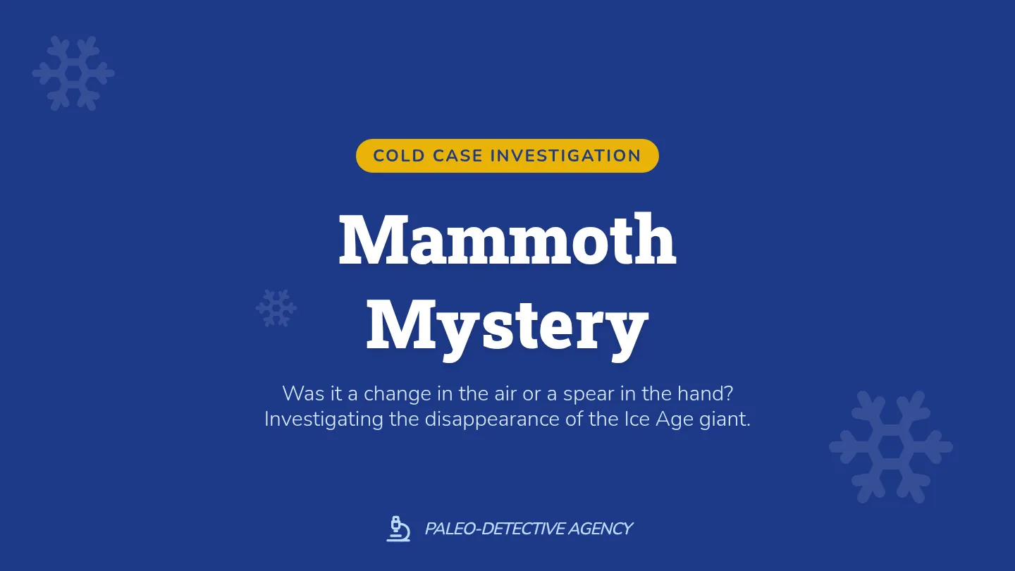 Mammoth Mystery Slides