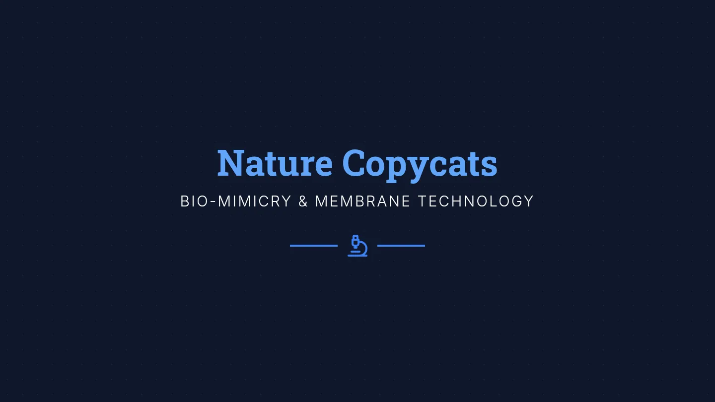 Nature Copycats Slides