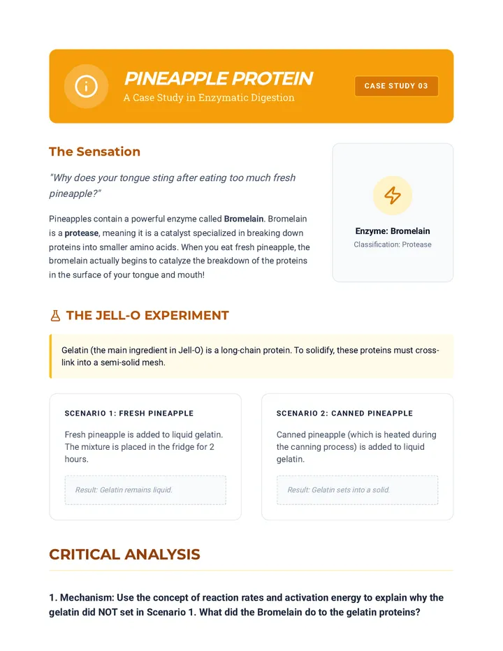 Pineapple Protein Case Study