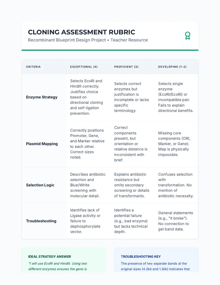 Cloning Workflow Rubric