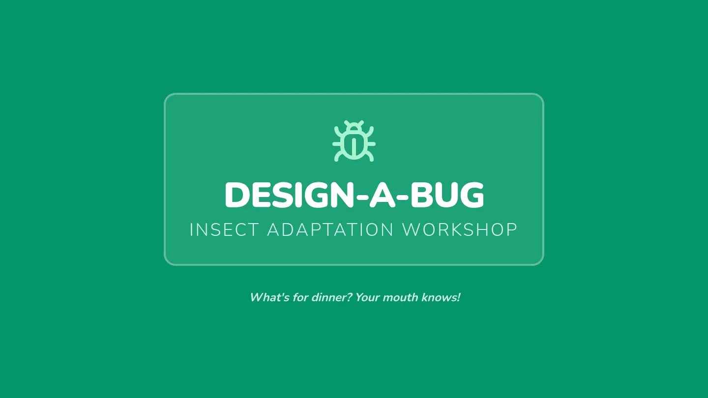 Bug Workshop Slides