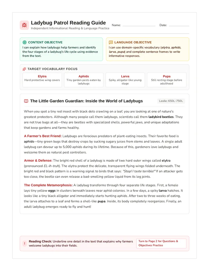 Ladybug Patrol Reading Guide