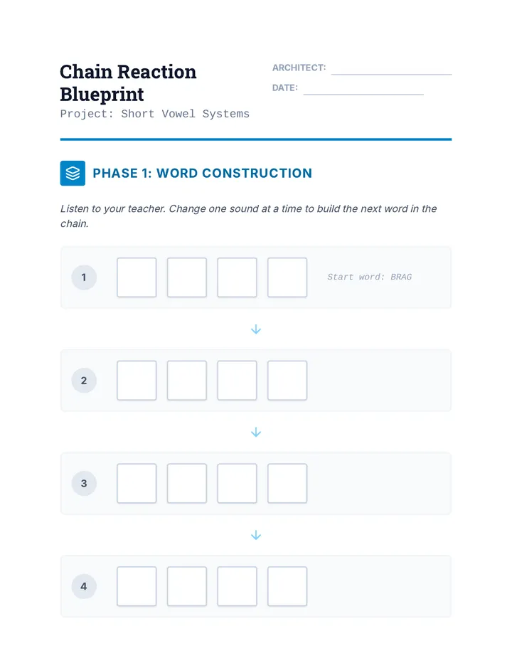 Chain Reaction Worksheet
