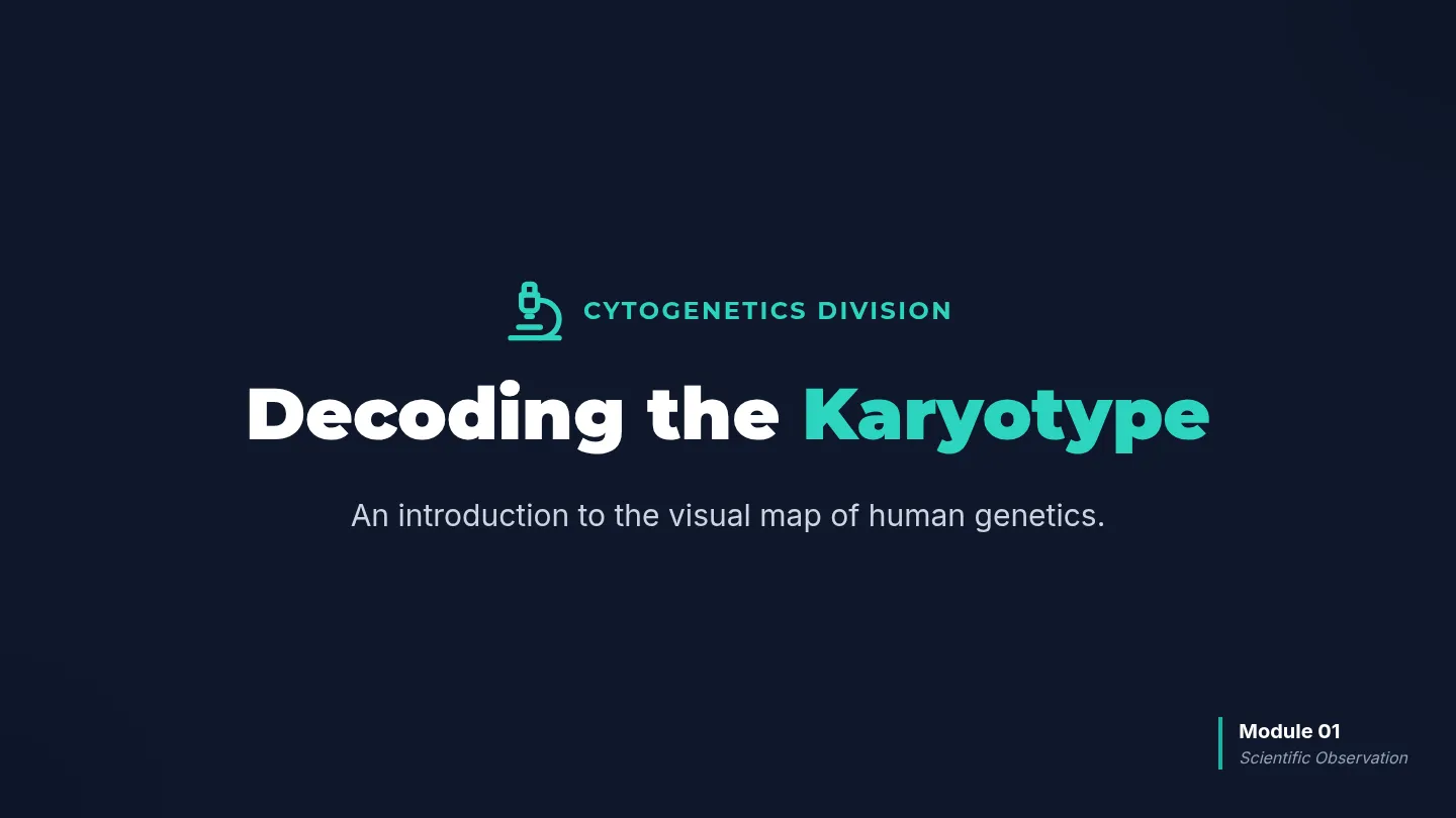 Karyotype Basics Slides