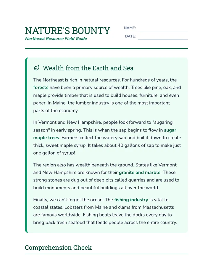 Nature's Bounty Worksheet