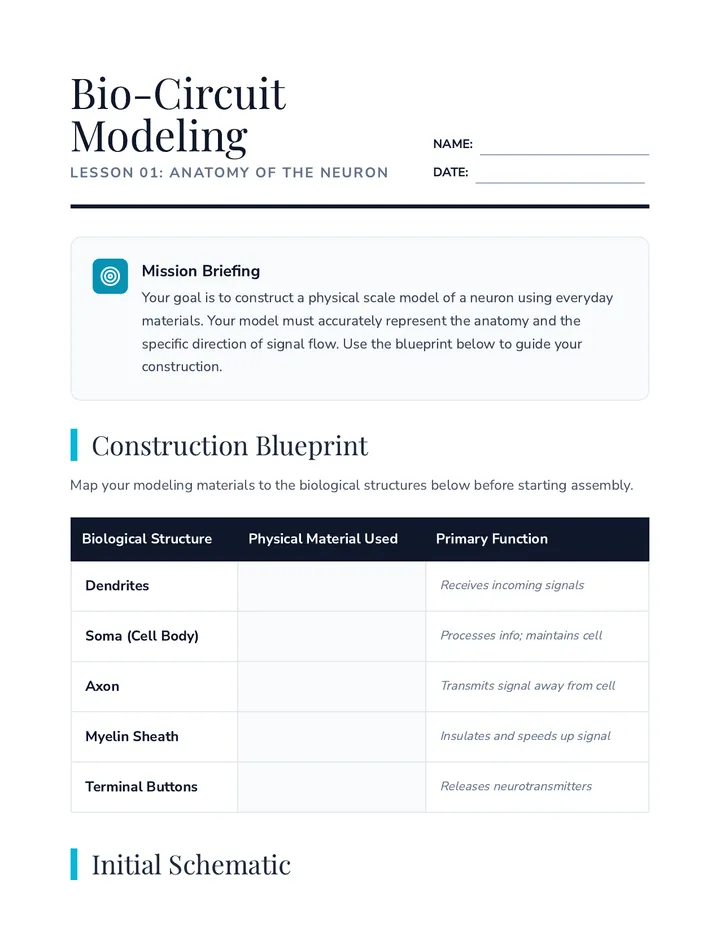 Neuron Modeling Guide