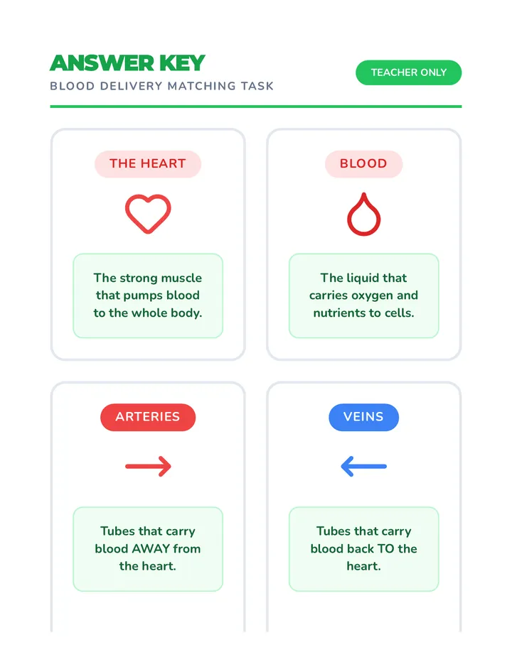Heart Highway Answer Key