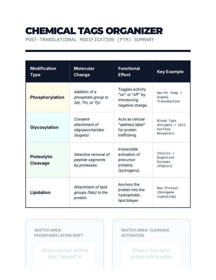 Chemical Tags Organizer