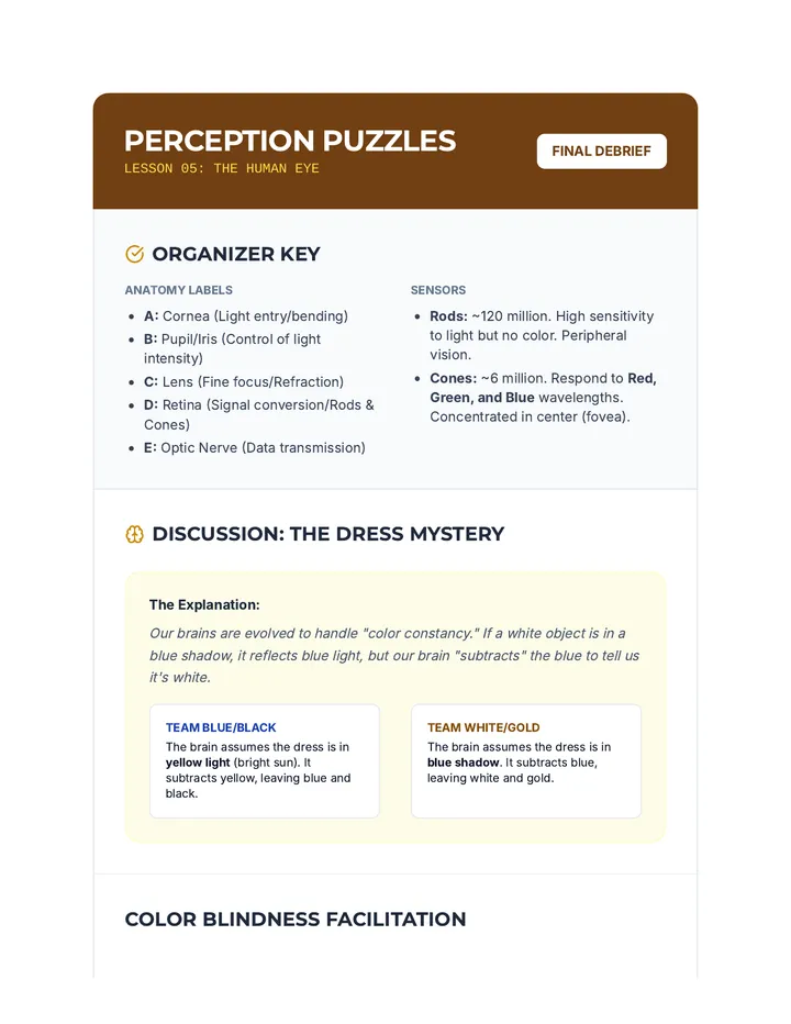 Perception Puzzle Case Studies