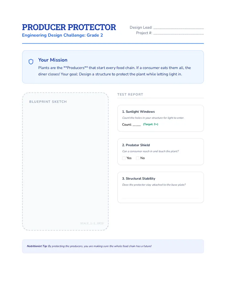 Diner Designers Activity Worksheet