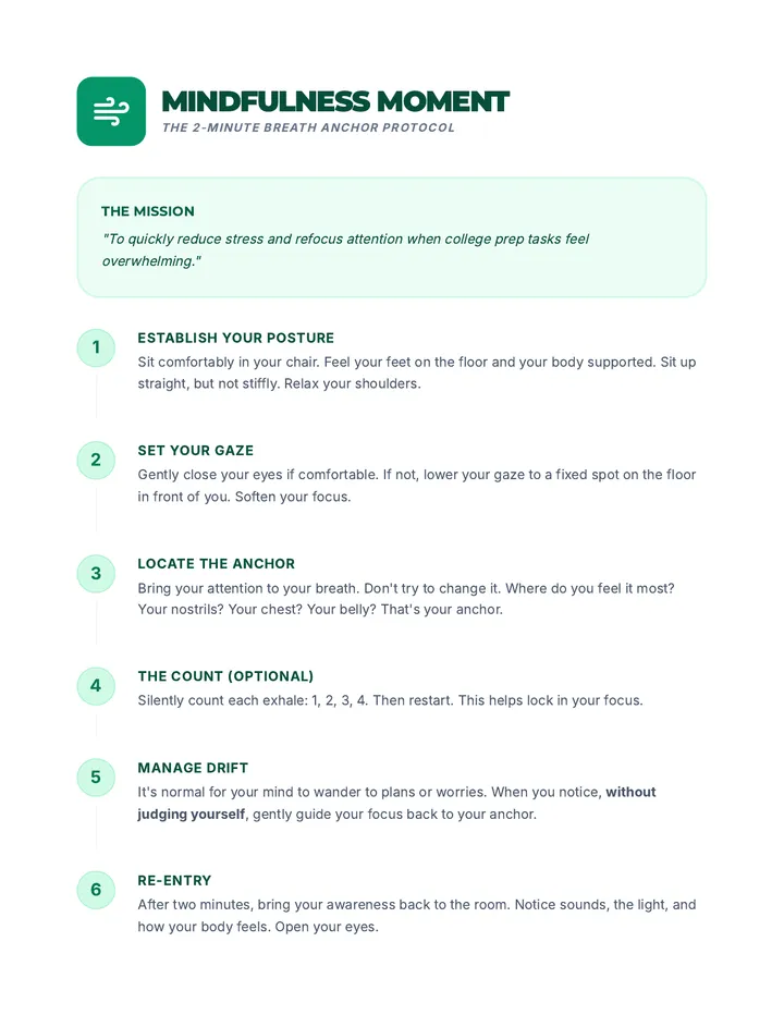 Mindfulness Moment Activity