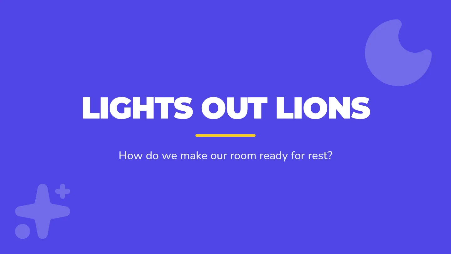 Lights Out Lions Slides