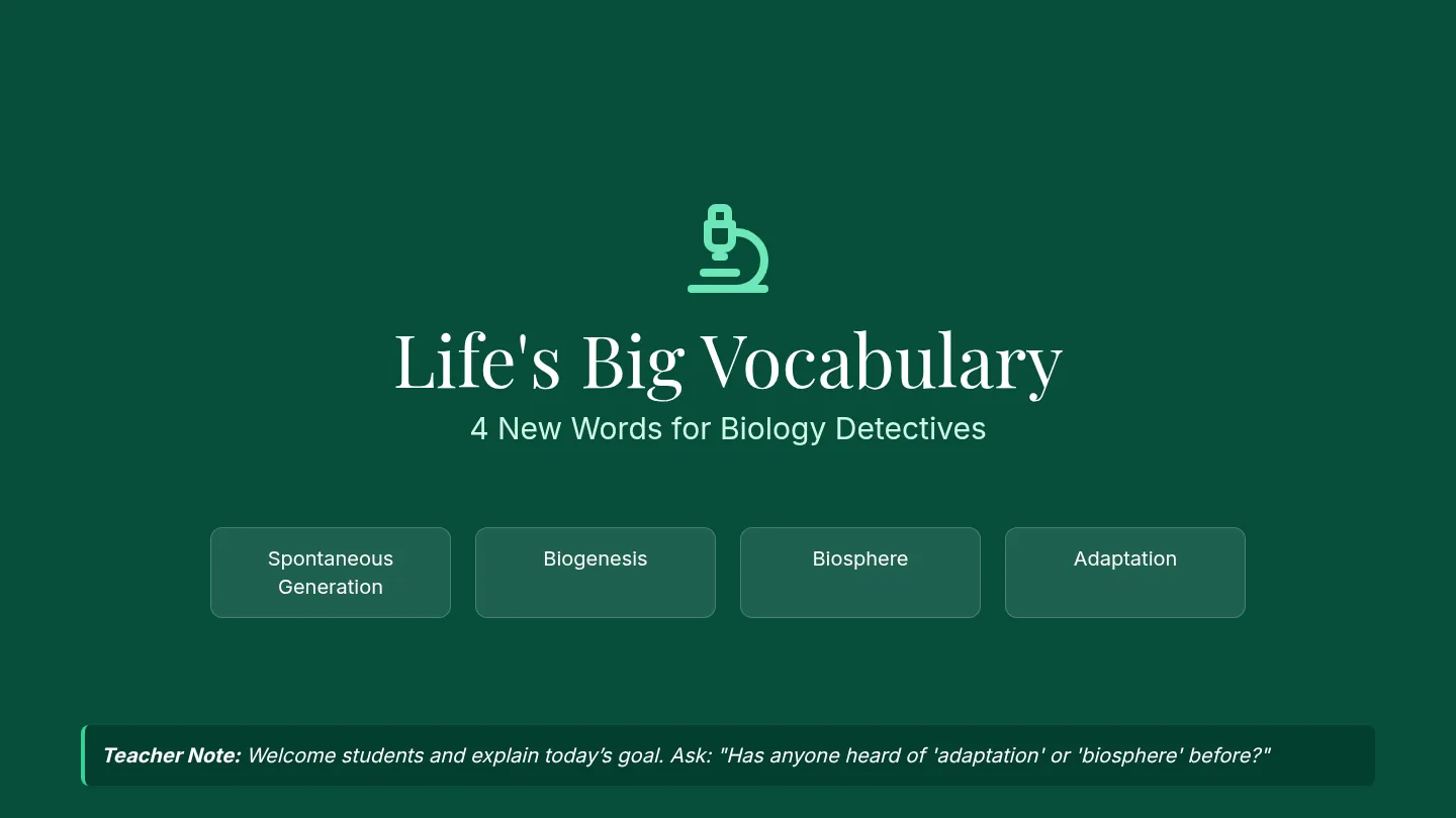 Big Vocabulary Slides