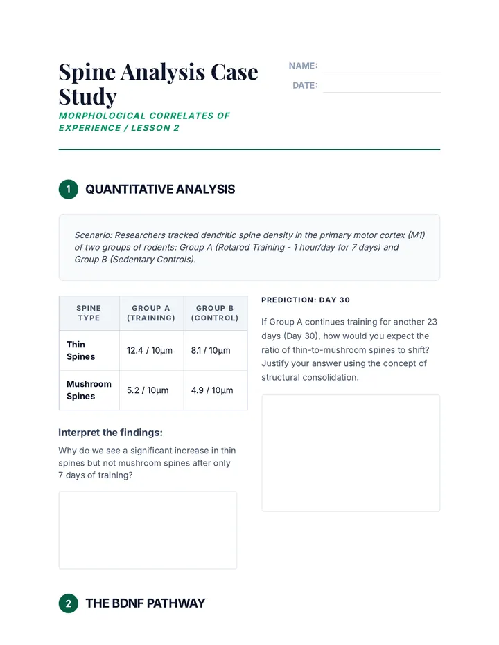 Spine Analysis Case Study Worksheet