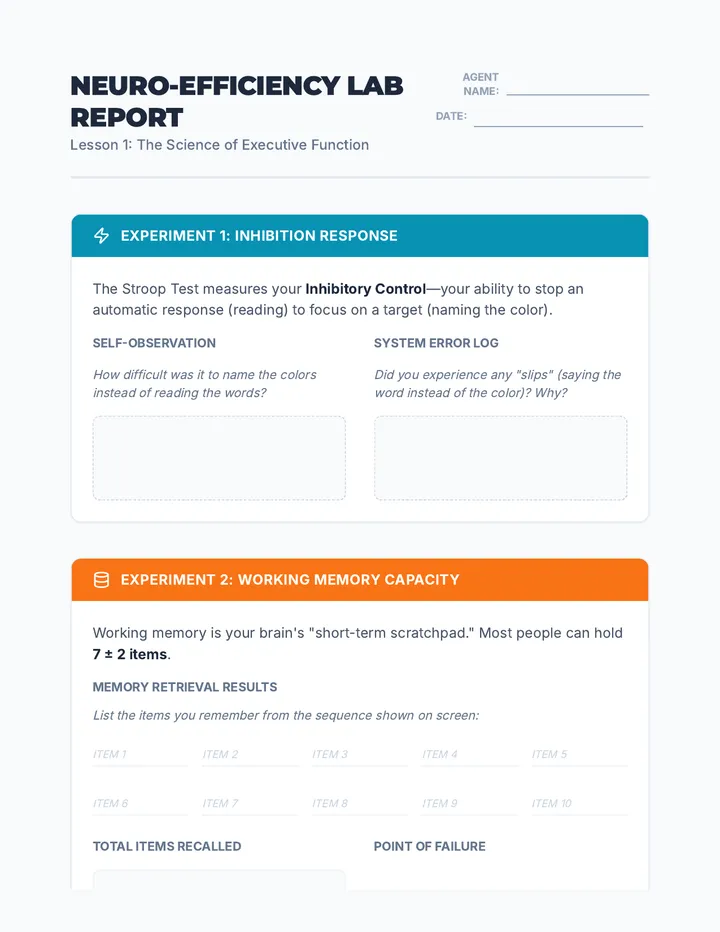 Neuro-Efficiency Lab Report