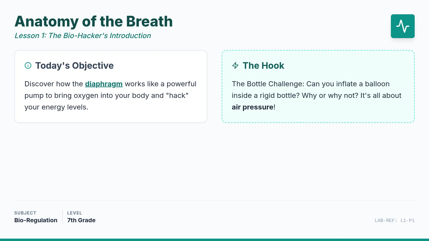 Anatomy Breath Presentation Slides
