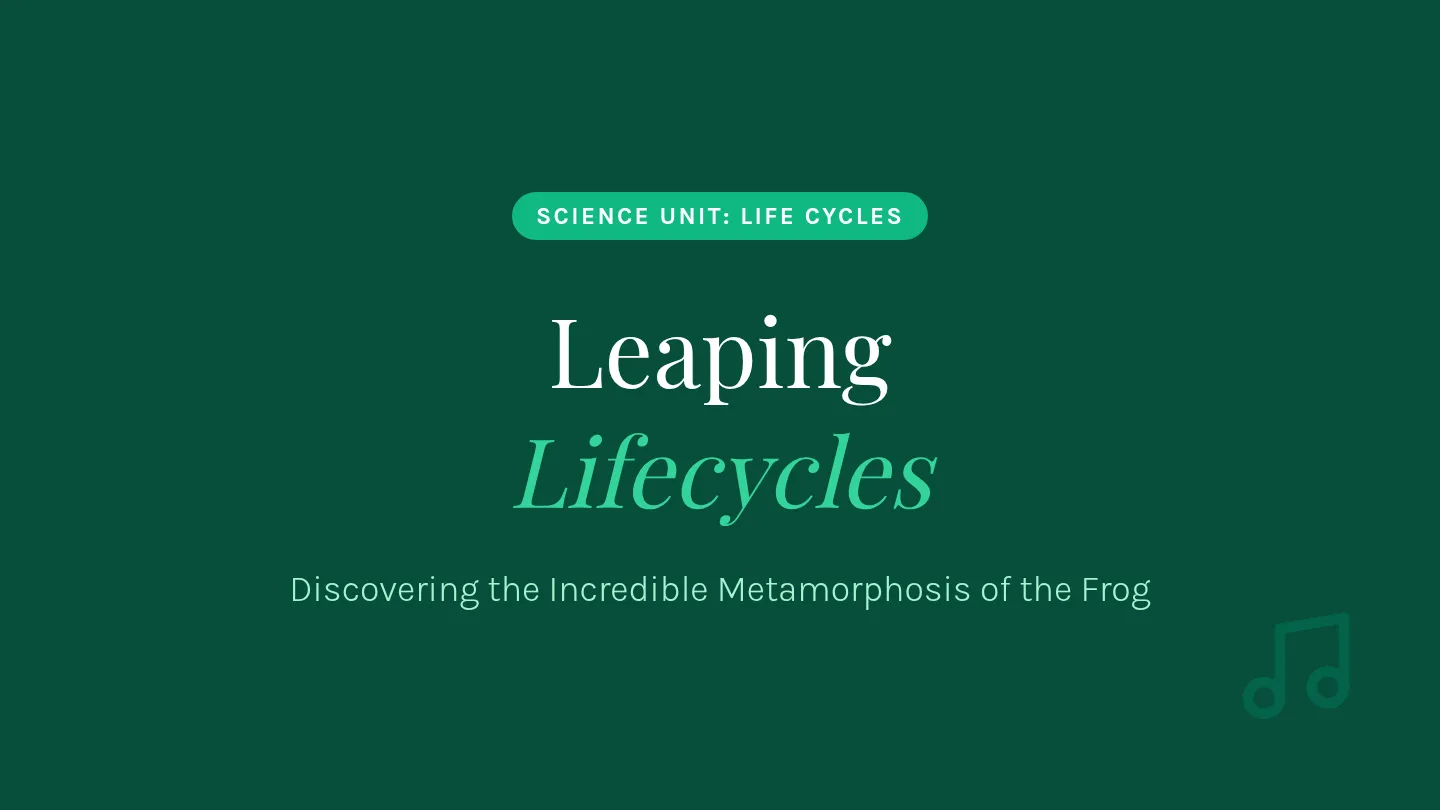 Frog Life Slides