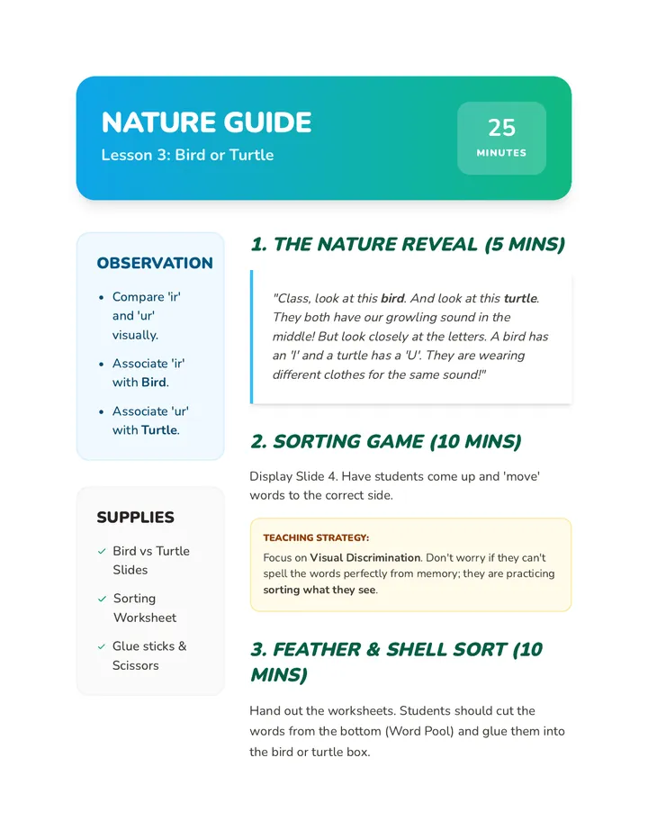 Bird or Turtle Guide