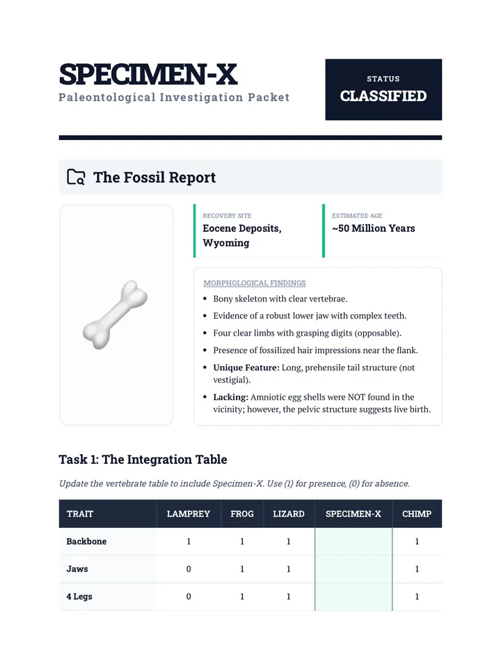 Paleo Investigation Packet