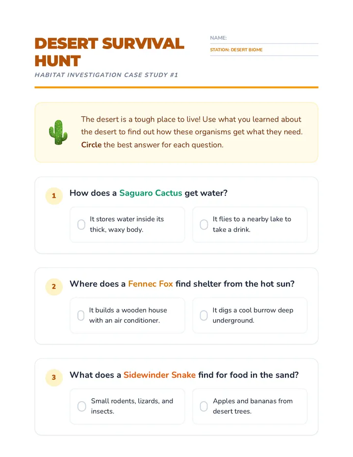Desert Survival Scavenger Hunt