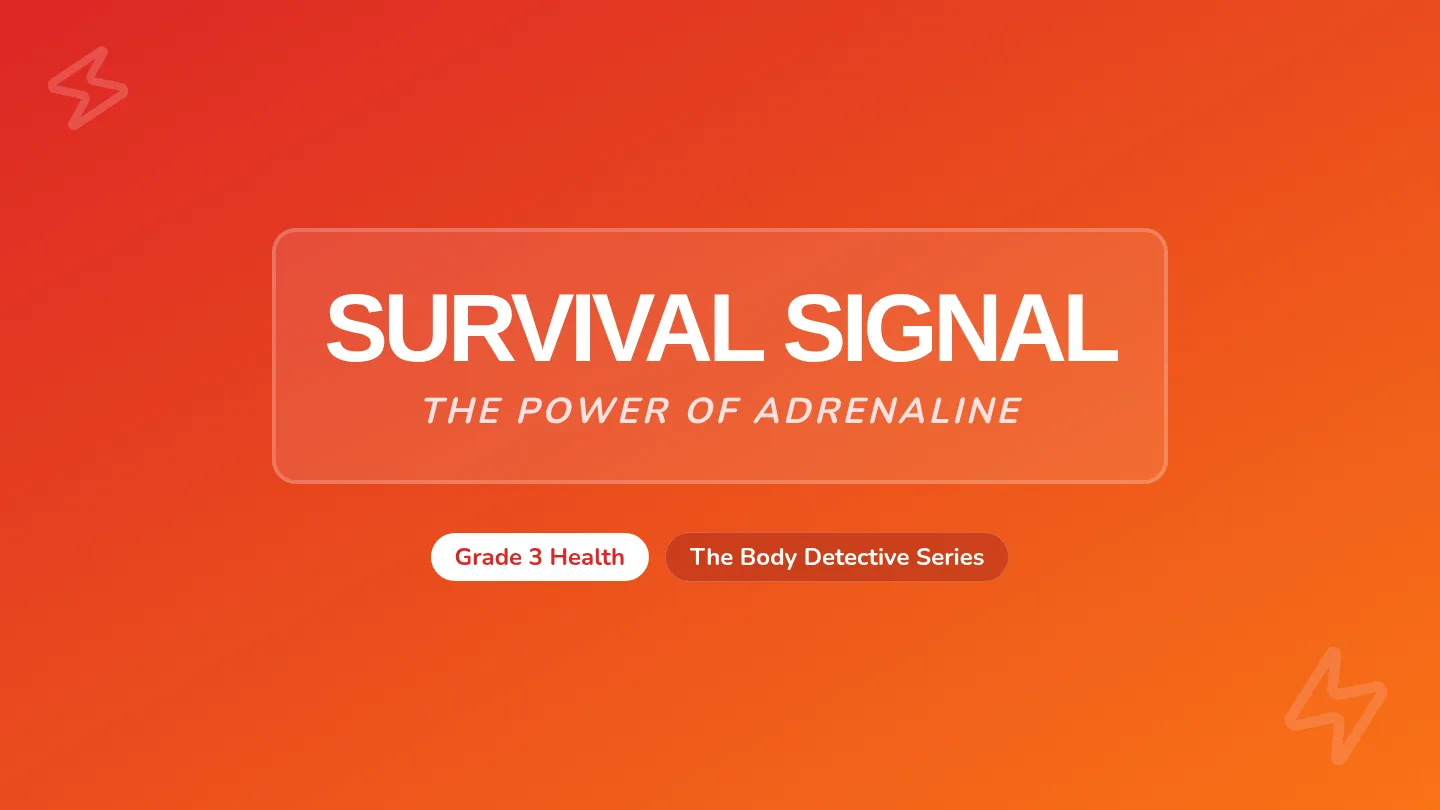 Survival Signal Slides