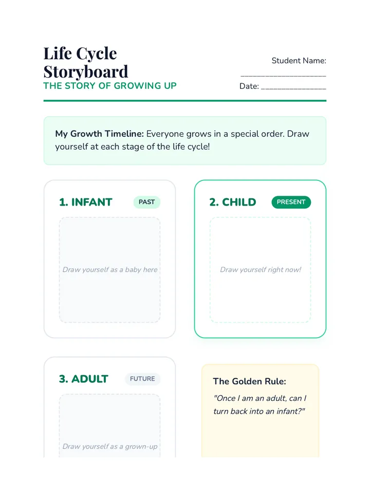 Life Cycle Storyboard Worksheet