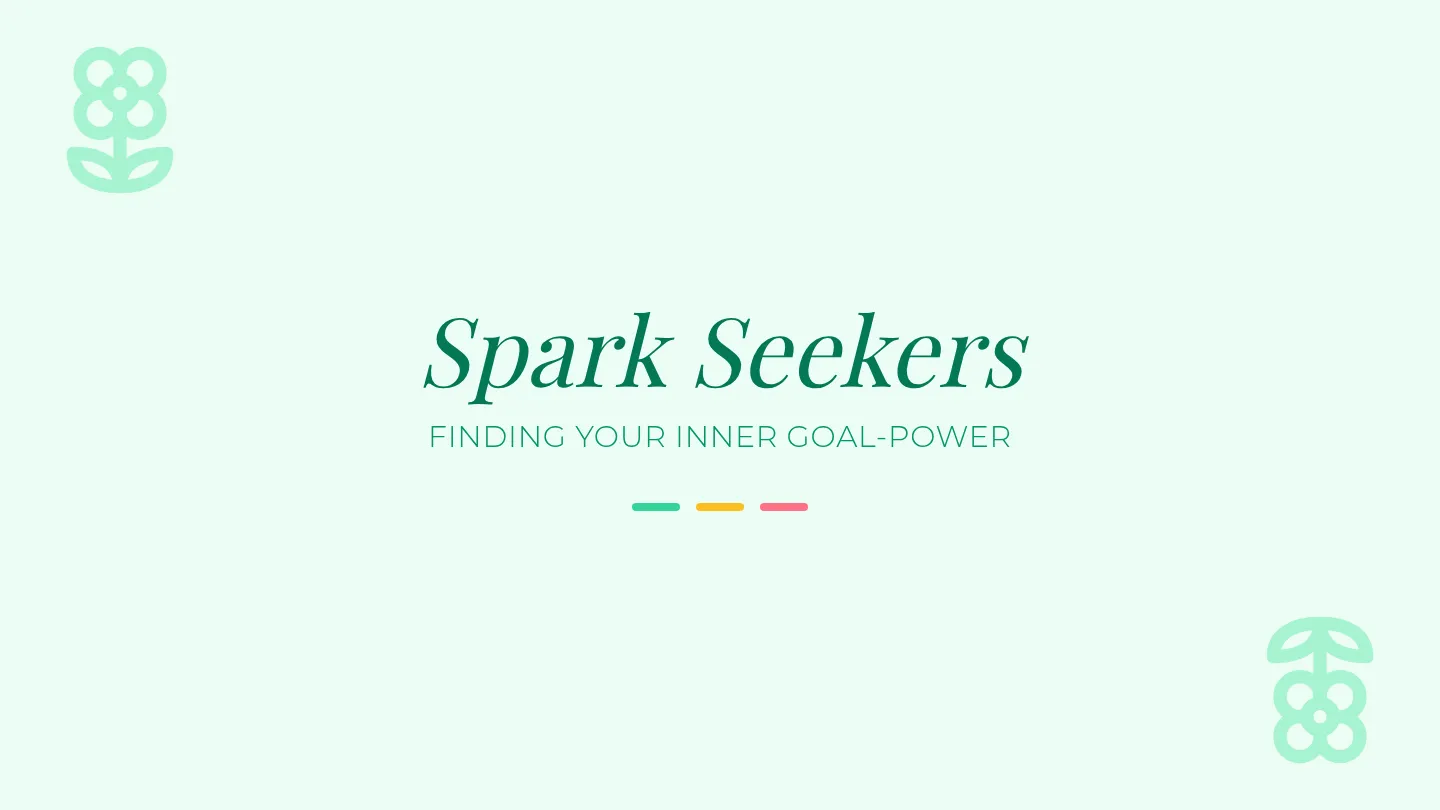 Spark Seekers Slides