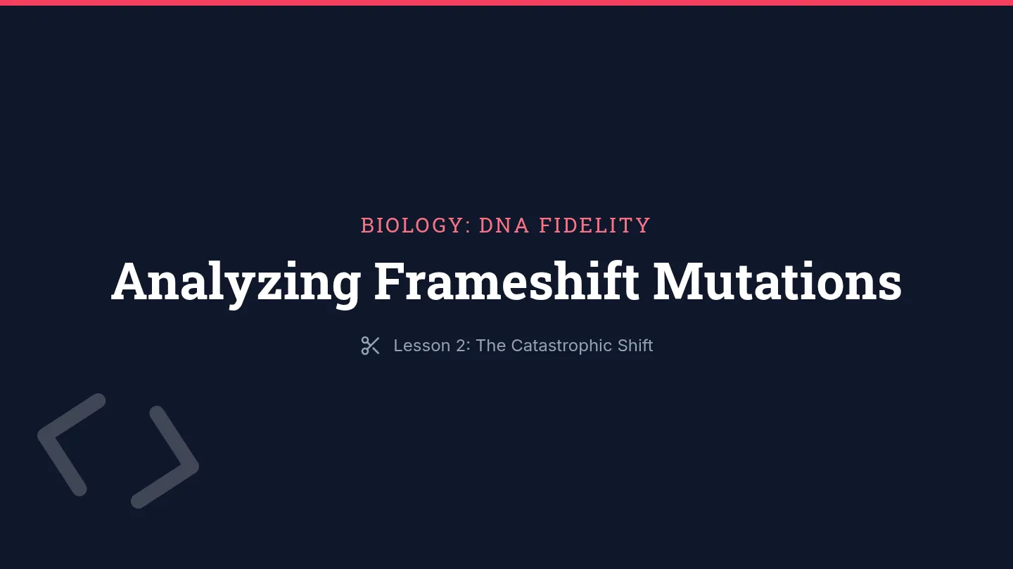 Frameshift Disaster Slides