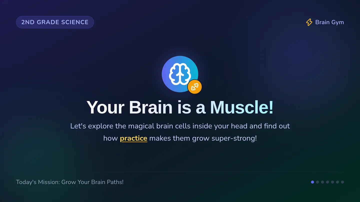 Brain Muscle Slides