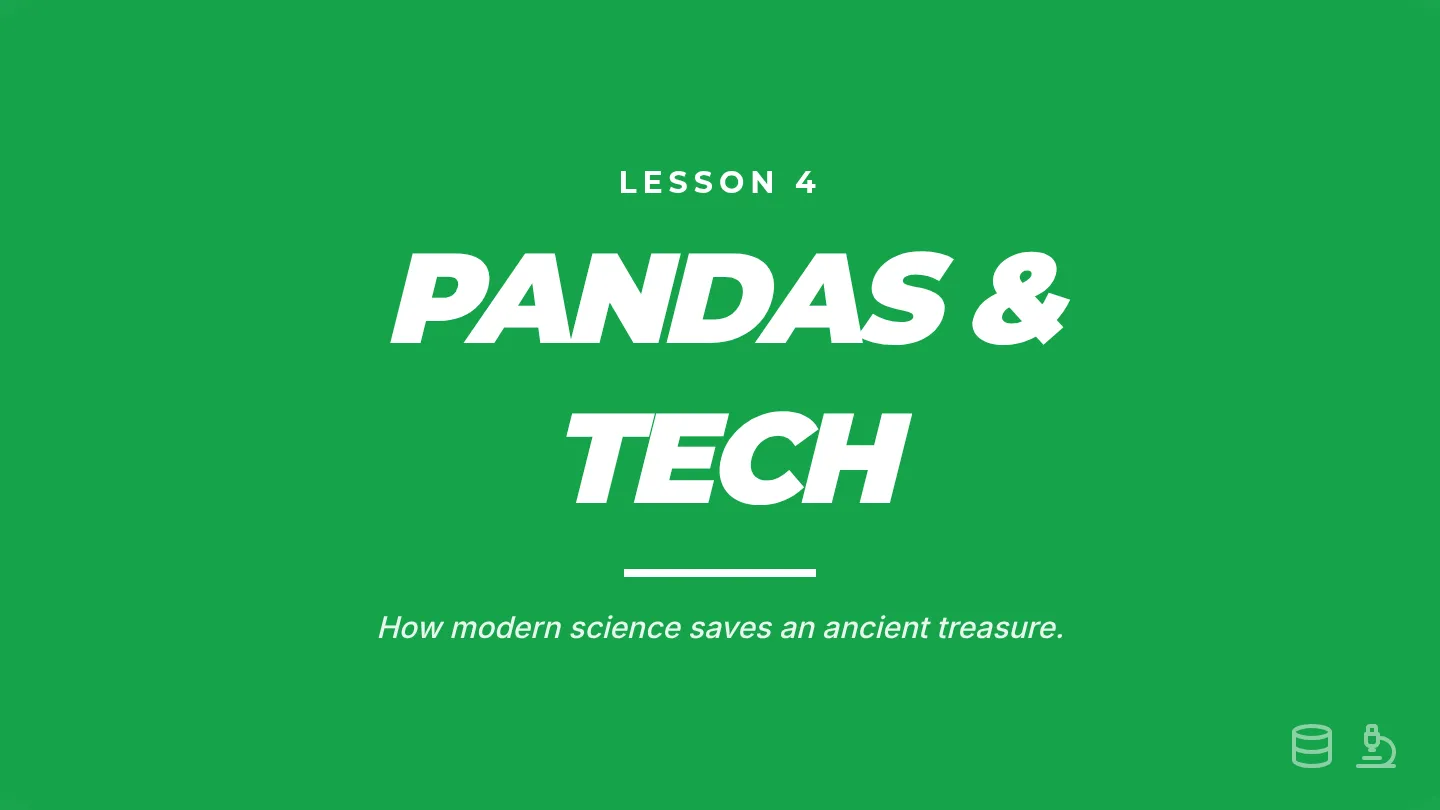 Panda Power Slides
