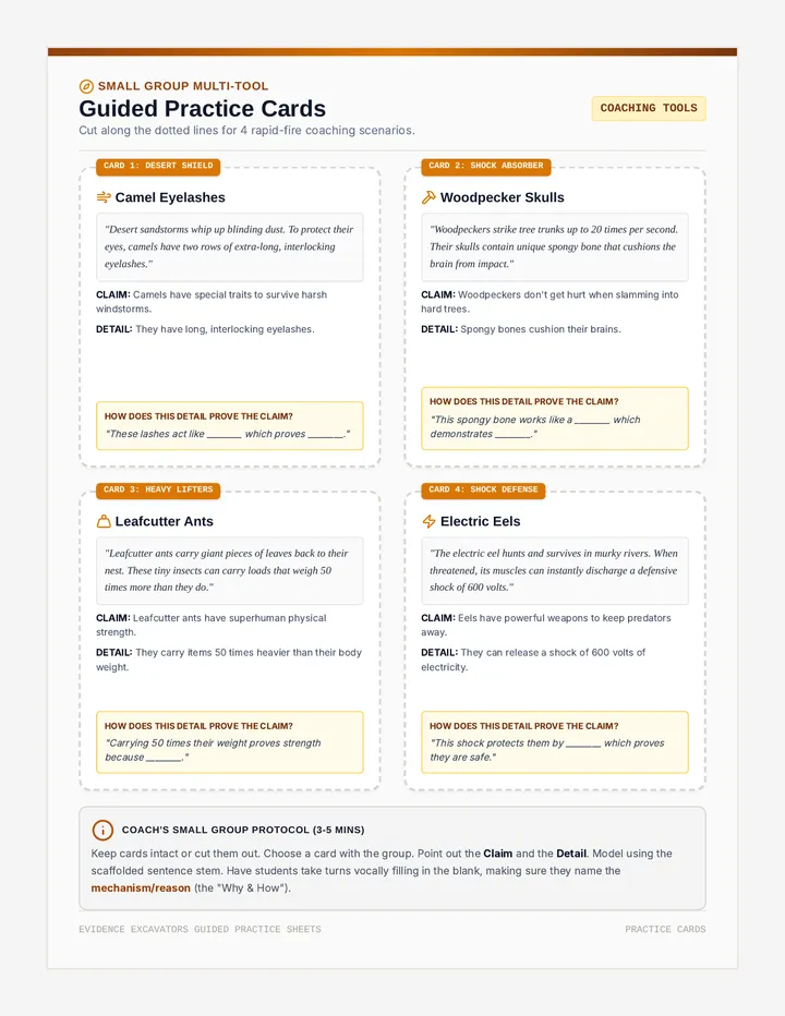 Evidence Excavators Practice Cards
