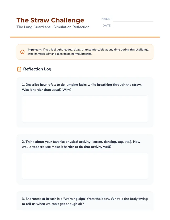 The Straw Challenge Reflection Log