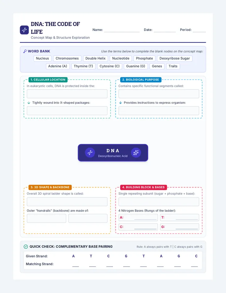 DNA Blueprint Concept Map
