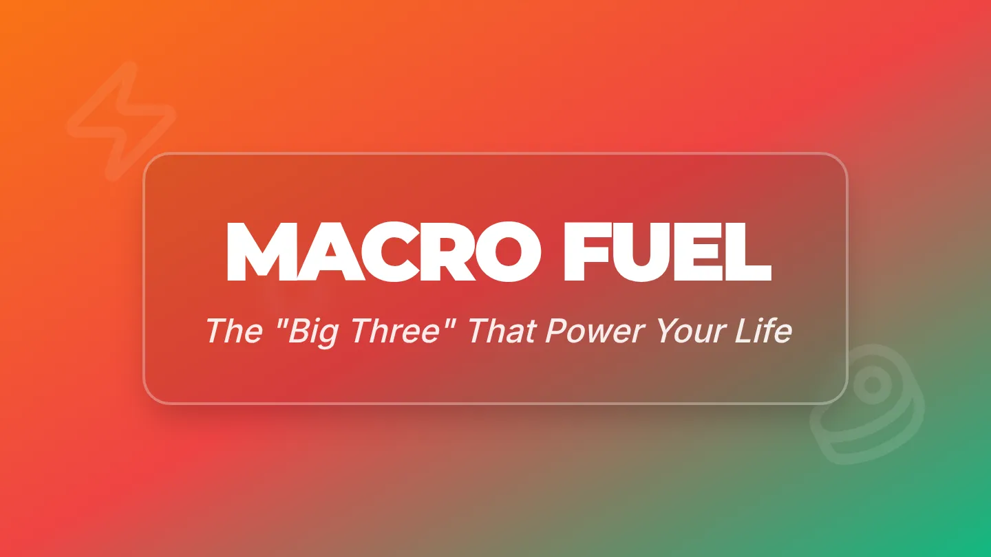 Macro Fuel Slides