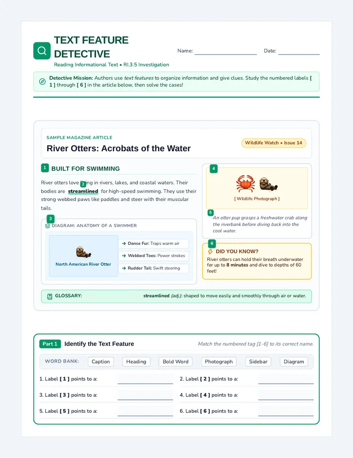 Text Detective Worksheet