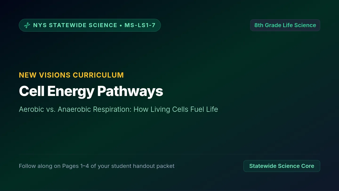 Middle School Respiration Slides