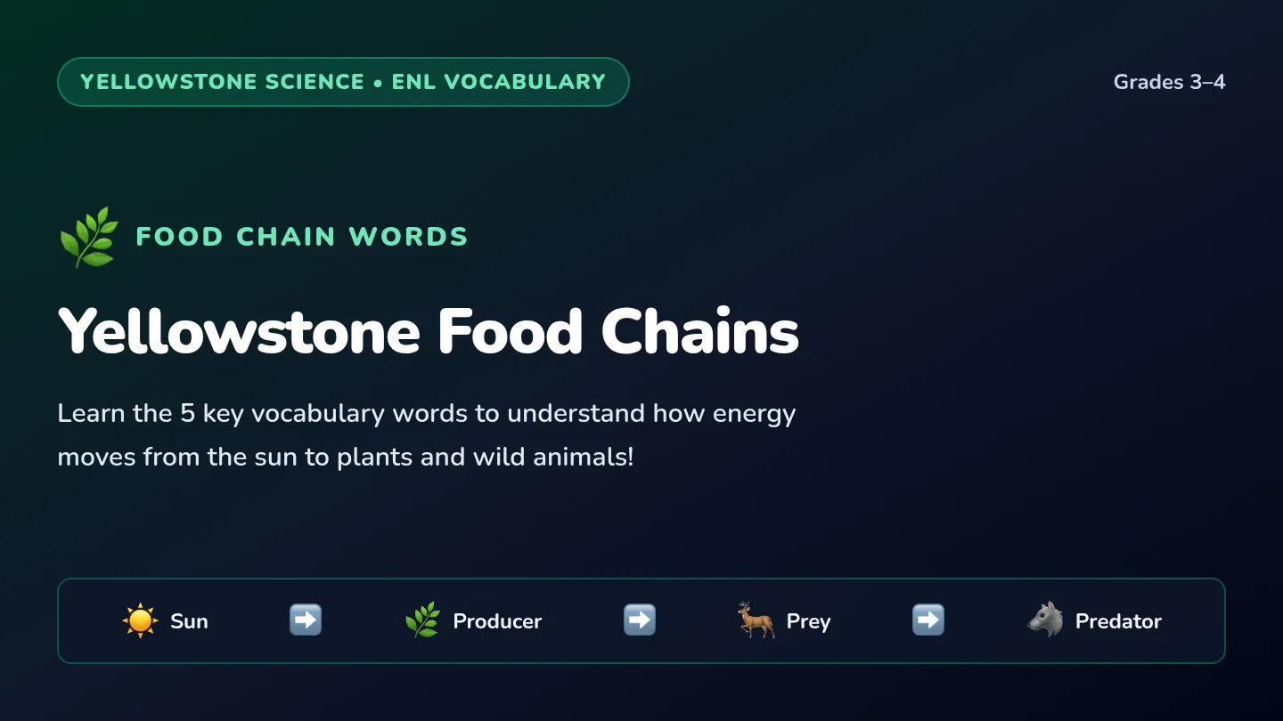 Yellowstone Food Chains Vocabulary Slides