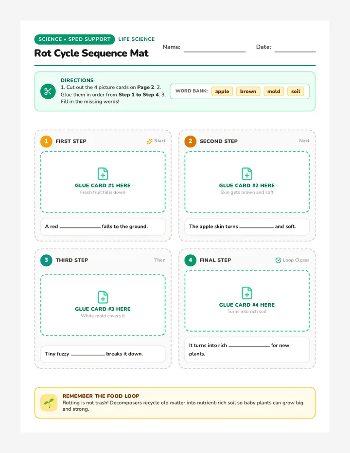 Rot Cycle Sequence Activity