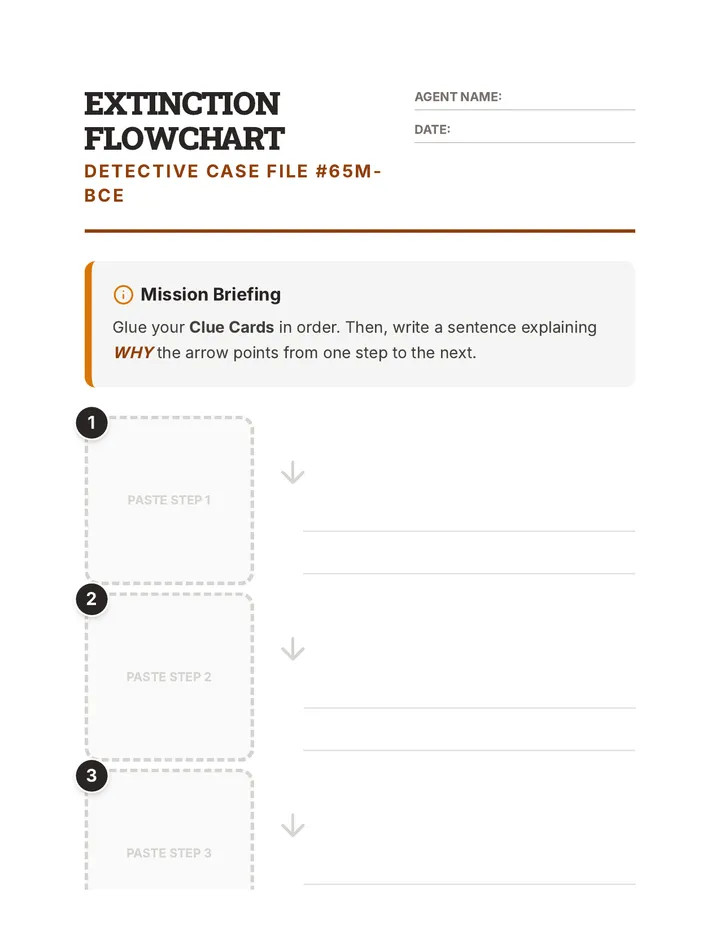 Extinction Flowchart Worksheet