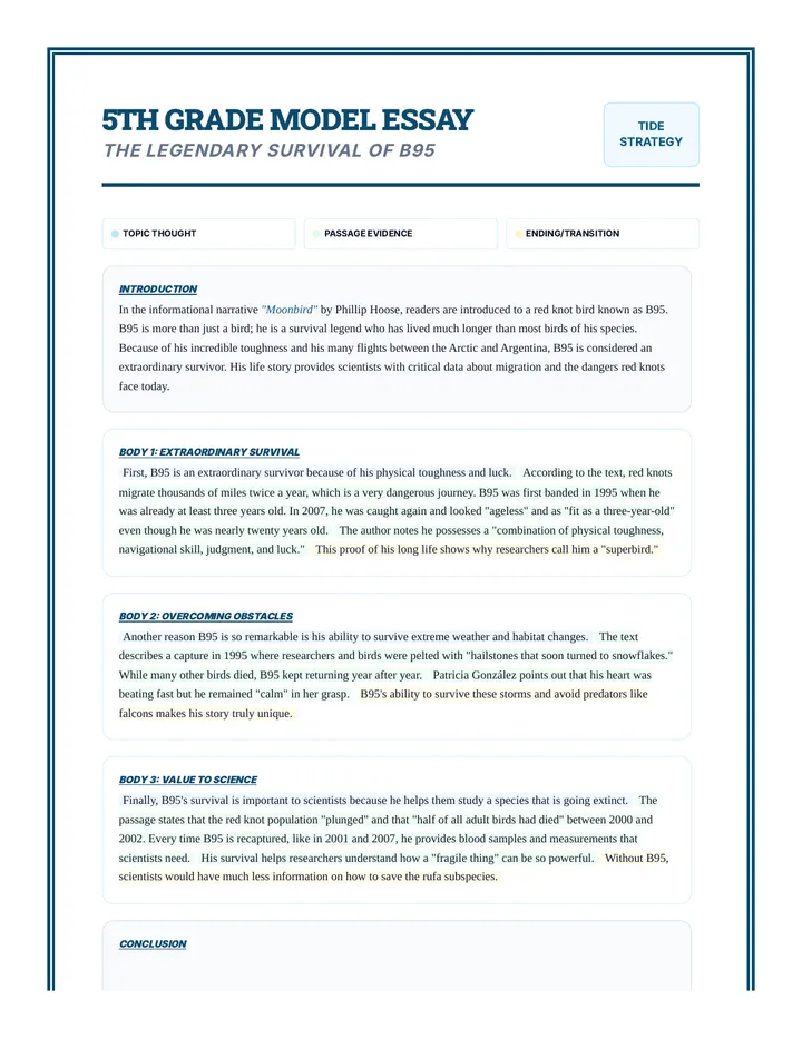 Moonbird Essay Model Exemplar