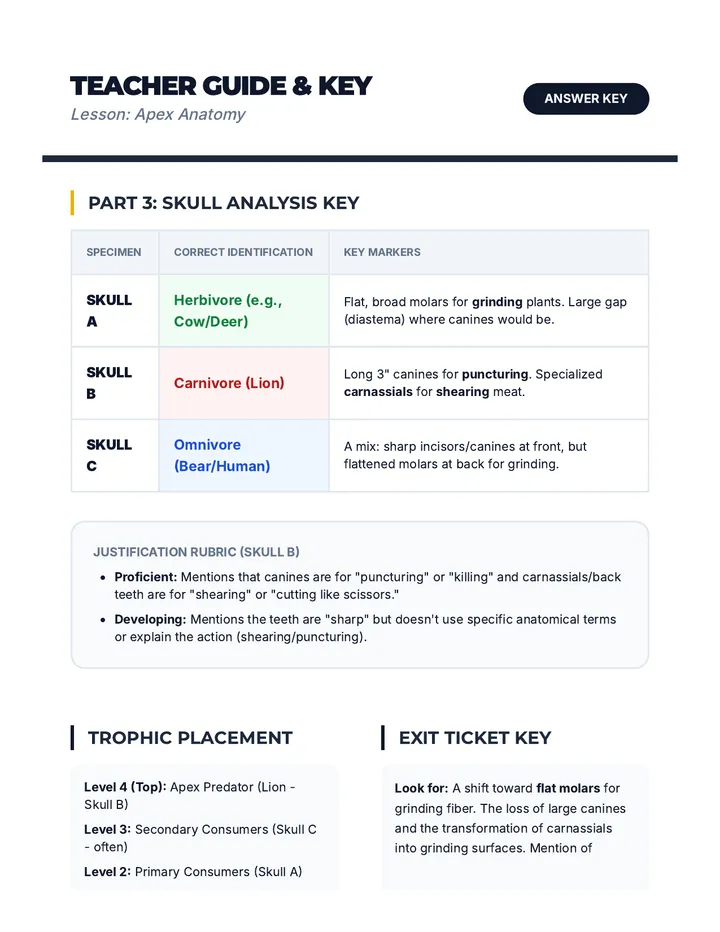 Apex Anatomy Teacher Key