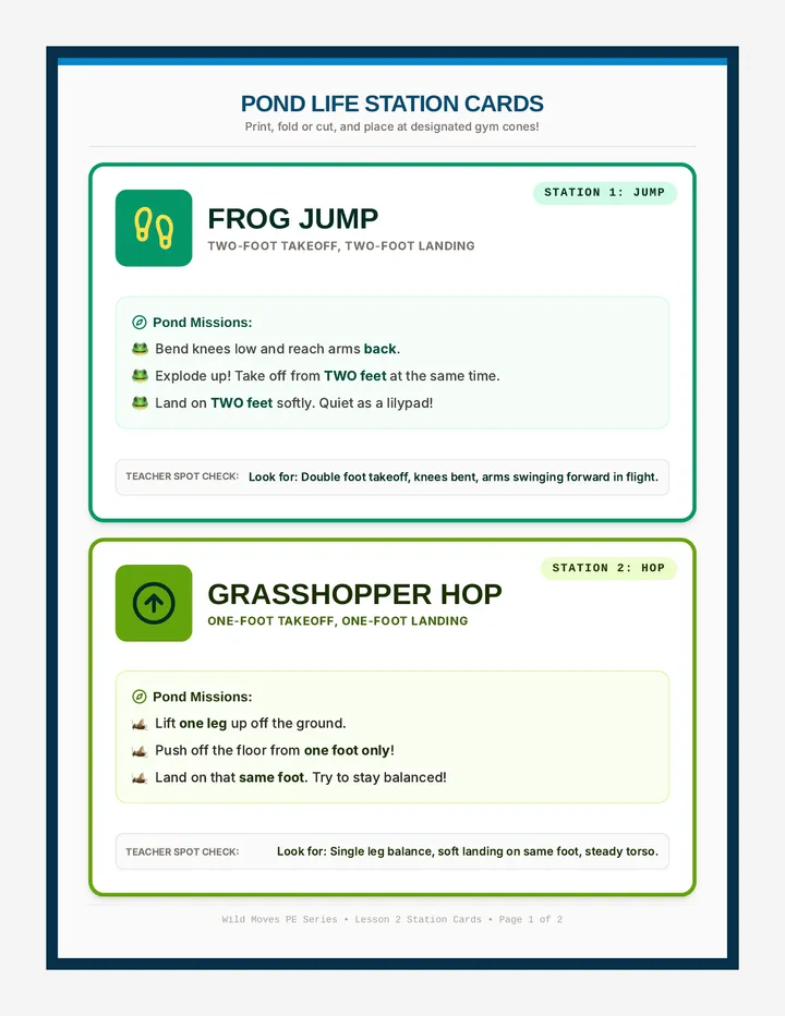 Lilypad Leap Station Cards
