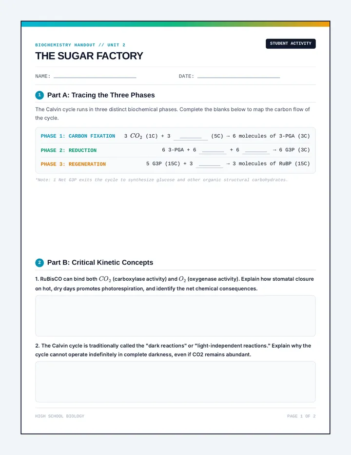 Sugar Factory Worksheet